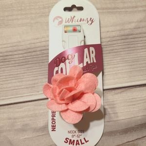 Dog collar for Small dog